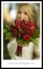 LewisPhoto_0008.jpg