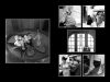 page_2-3.jpg
